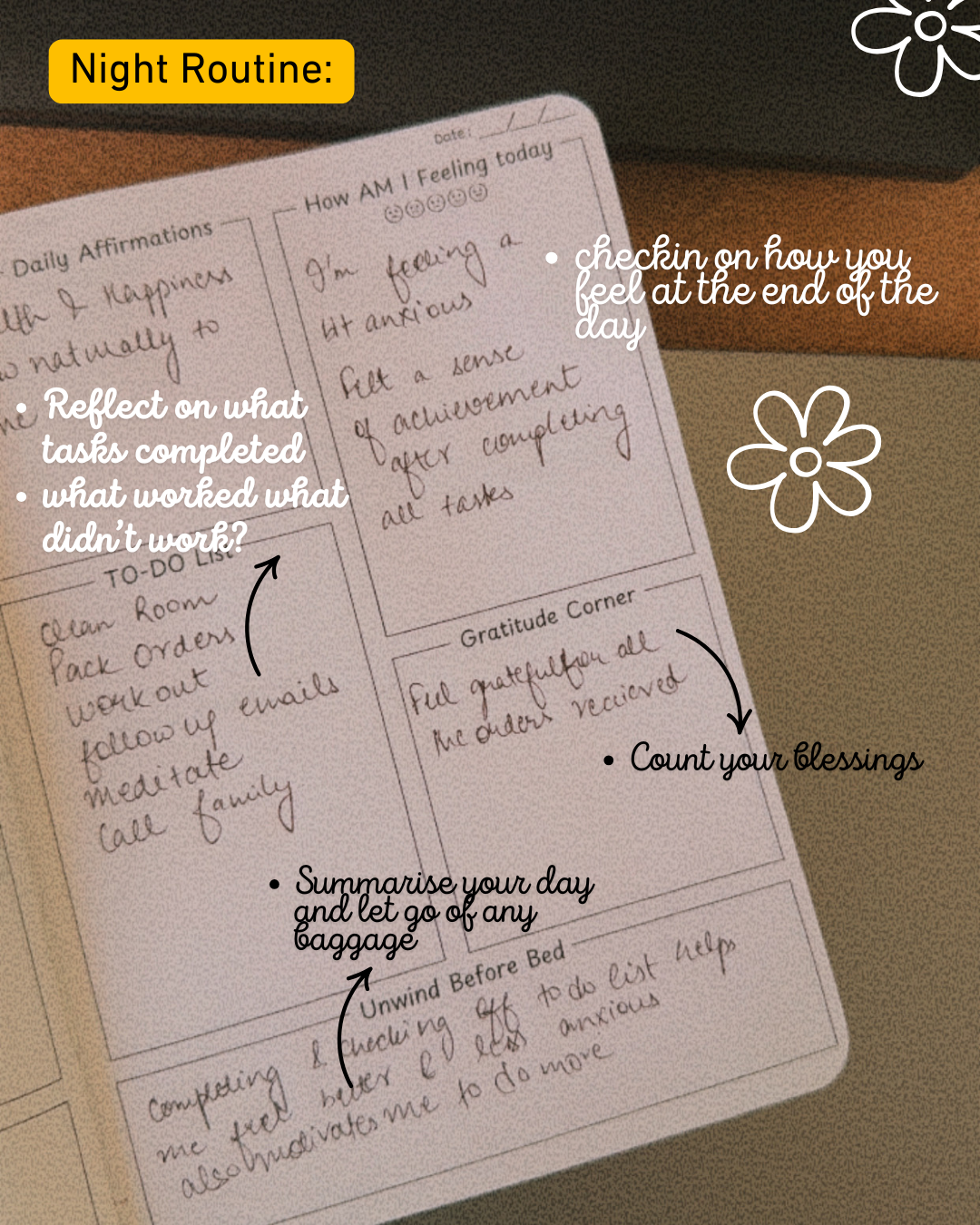 Journal : Paws & Pages